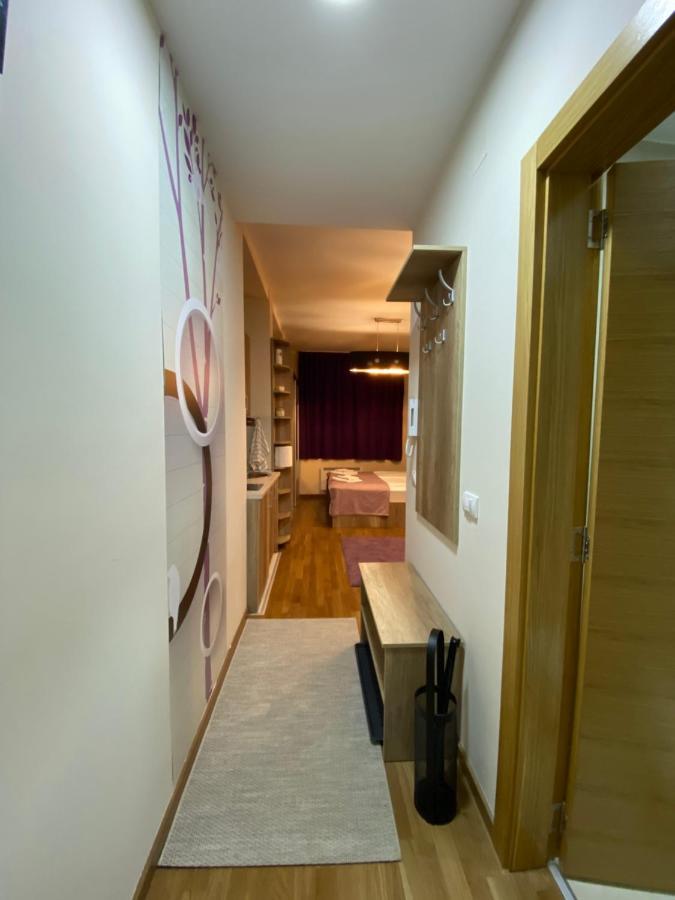 Sanstef Studio Zlatibor Exteriör bild