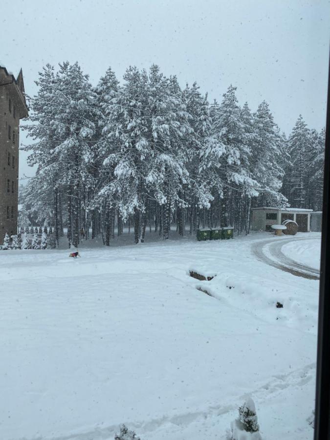 Sanstef Studio Zlatibor Exteriör bild